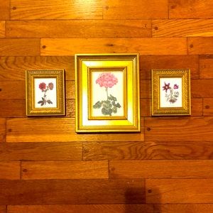 Gold framed botanical prints 7 3/4”w x 9 1/2”h and 4 1/2”w x 5 1/2”h
